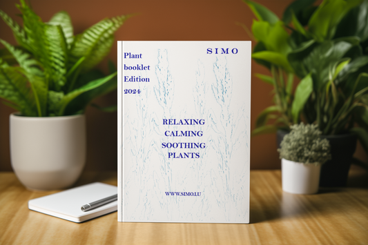 E-BOOK (ENG) - Relaxing soothing and calming plants  (Basil, Bitter orange, Iime, Avocado)